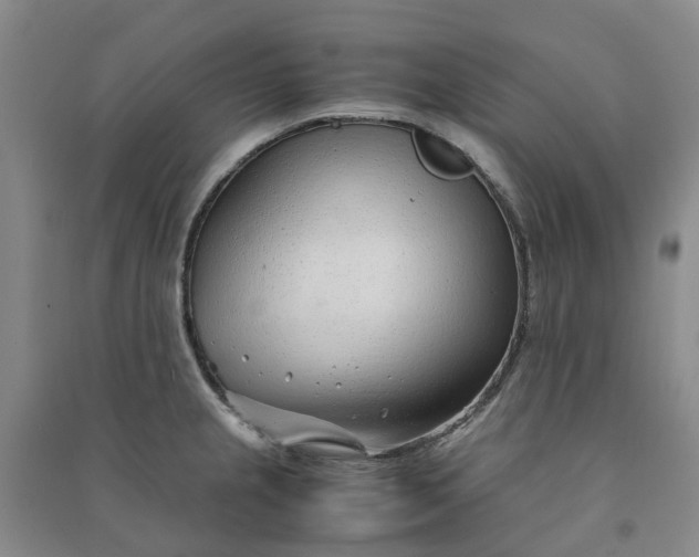 X0000090961237200708161809