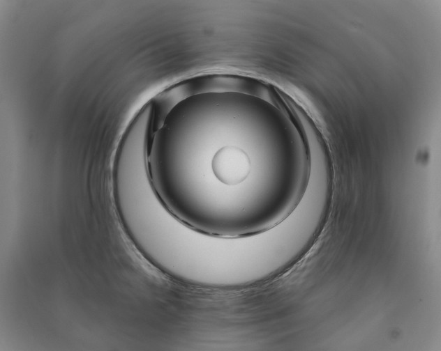 X0000090961238200708161809