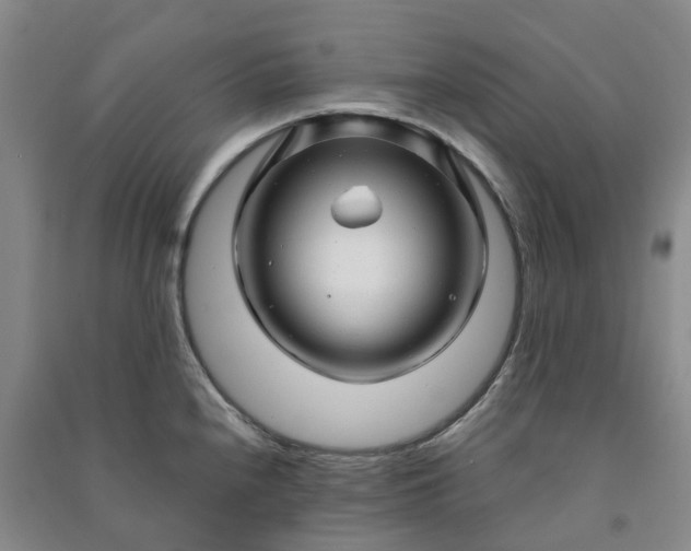 X0000090961240200708161809