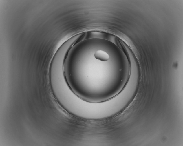 X0000090961242200708161809