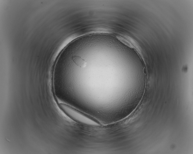X0000090961243200708161809