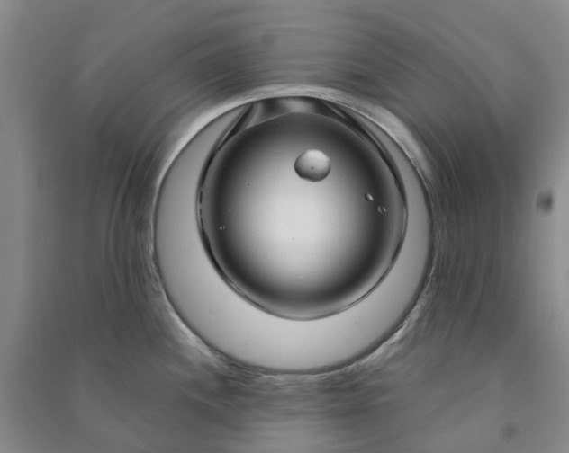 X0000090961244200708161809