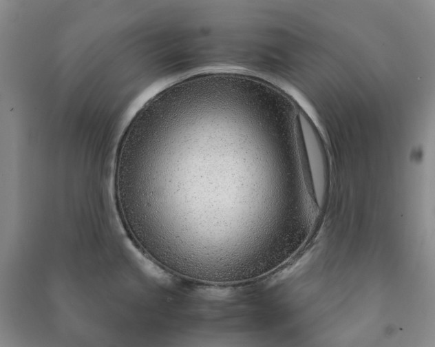 X0000090961245200708161809