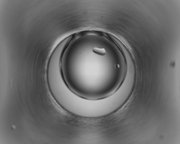 X0000090961246200708161809