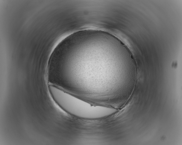 X0000090961247200708161809