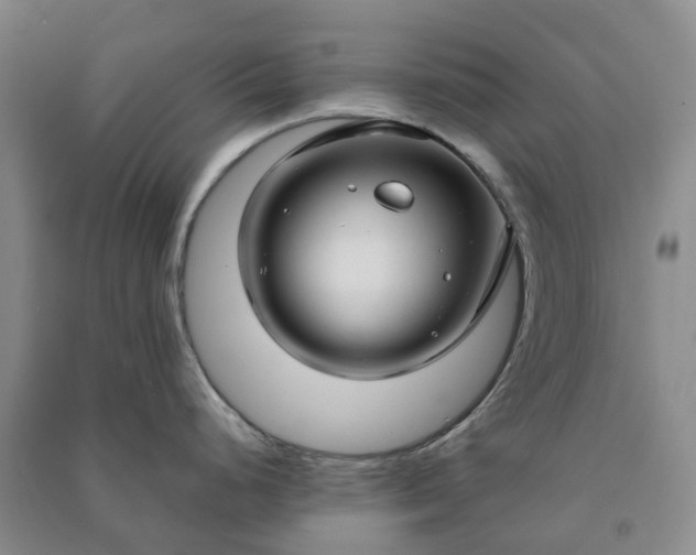 X0000090961248200708161809