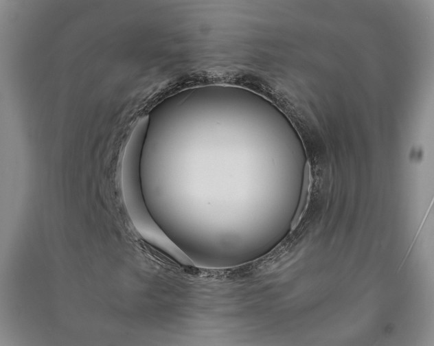 X0000090961249200708161809