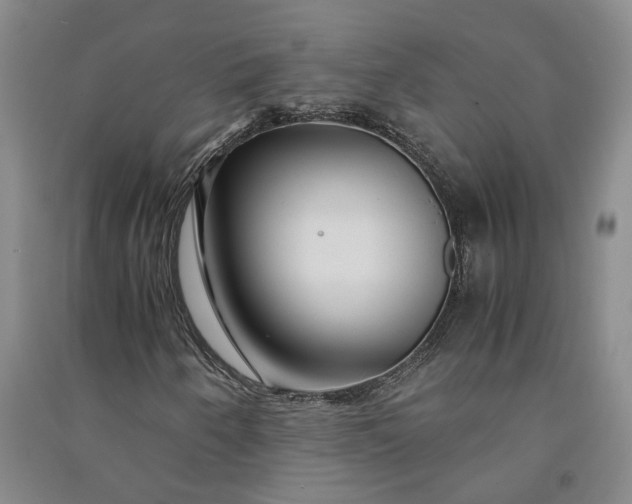 X0000090961250200708161809