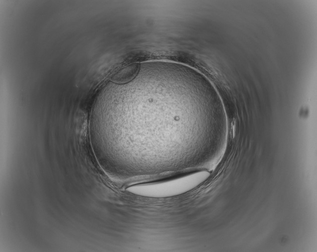 X0000090961251200708161809