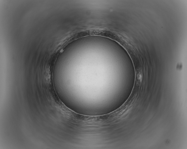 X0000090961252200708161809