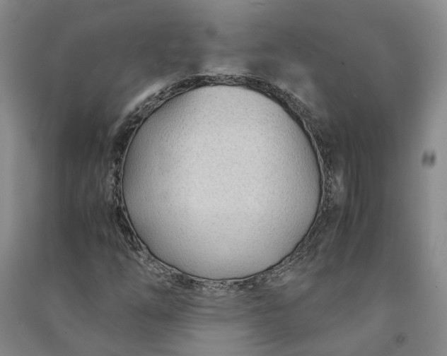 X0000090961254200708161809