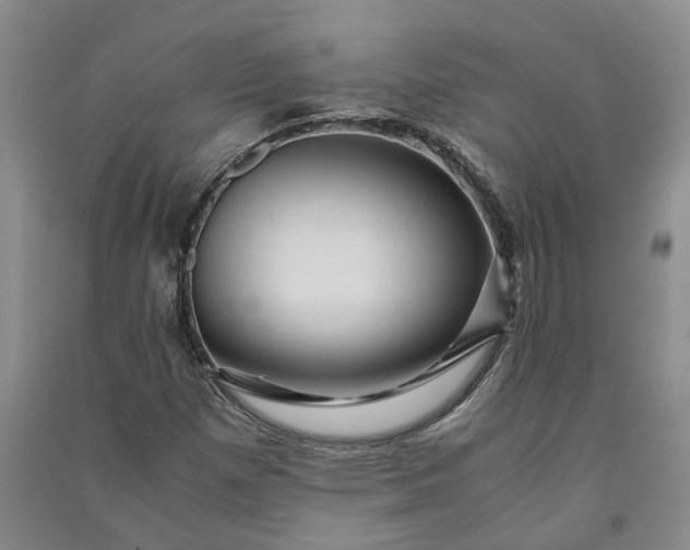 X0000090961257200708161809