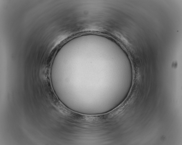 X0000090961258200708161809