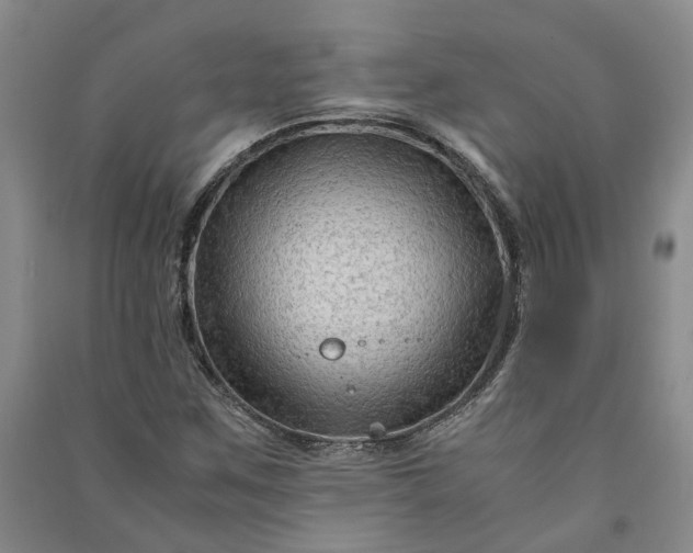 X0000090961259200708161809