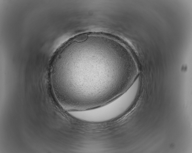 X0000090961263200708161809
