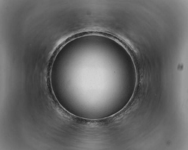 X0000090961264200708161809