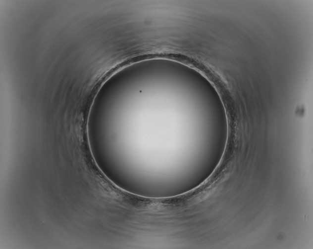 X0000090961265200708161809