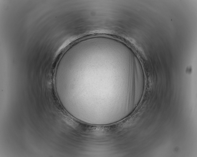 X0000090961266200708161809