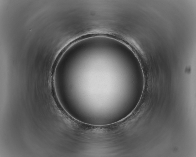 X0000090961268200708161809