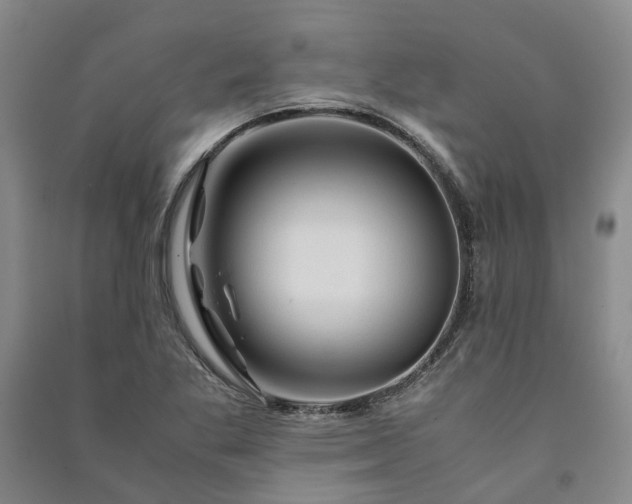X0000090961269200708161809