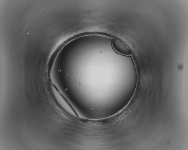 X0000090961270200708161809