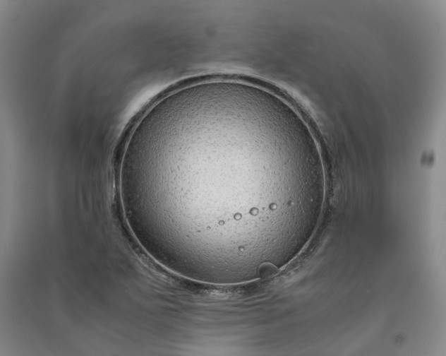 X0000090961271200708161809