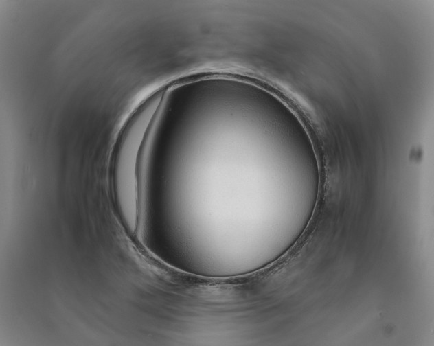 X0000090961272200708161809