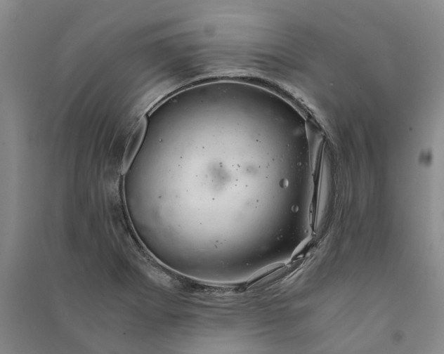 X0000090961273200708161809