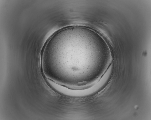 X0000090961275200708161809