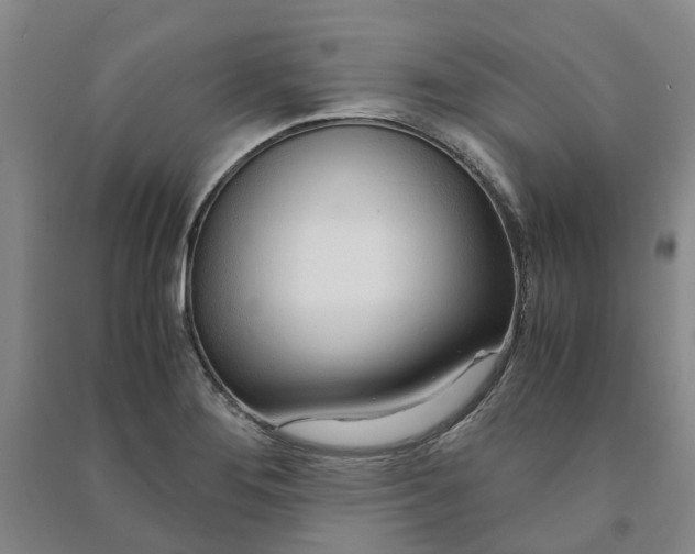 X0000090961276200708161809