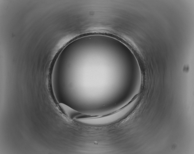 X0000090961277200708161809