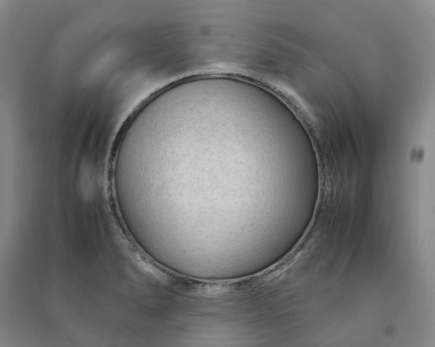 X0000090961278200708161809