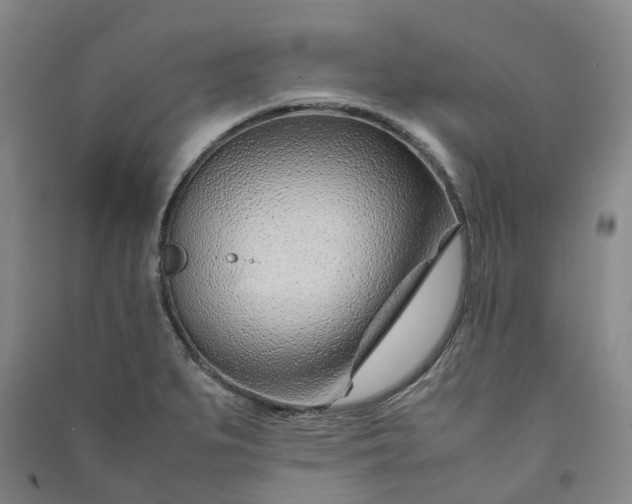 X0000090961279200708161809