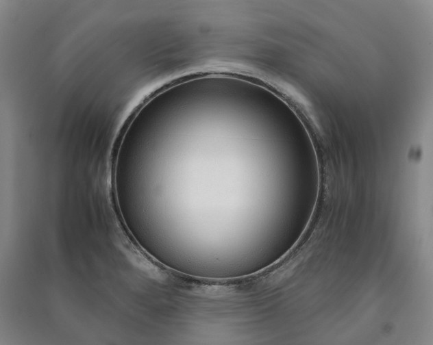 X0000090961280200708161809