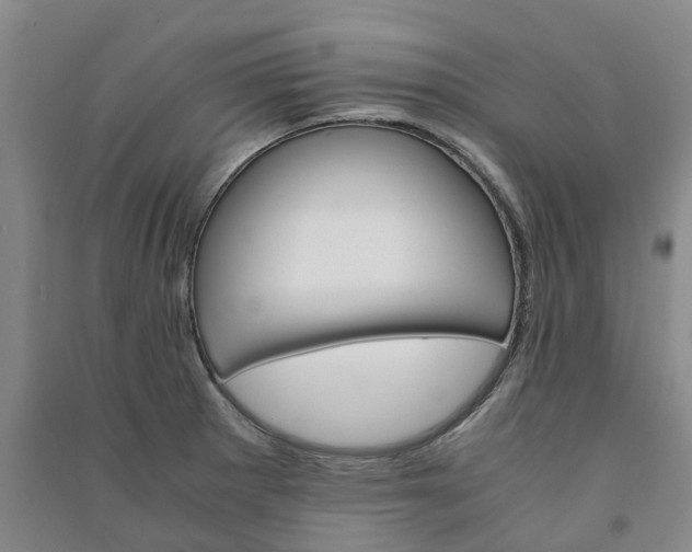 X0000090961281200708161808