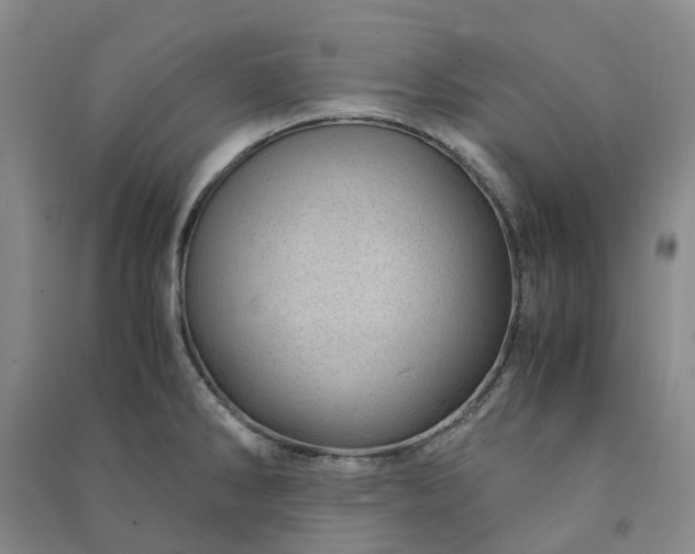 X0000090961286200708161808