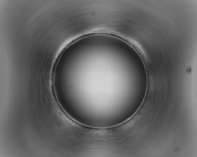 X0000090961288200708161808