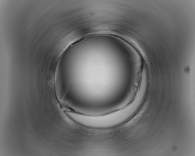 X0000090961289200708161808