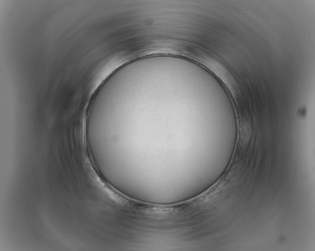 X0000090961290200708161808