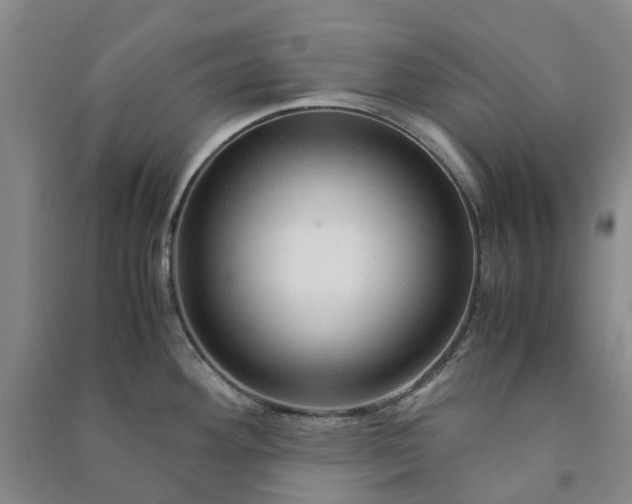 X0000090961292200708161808