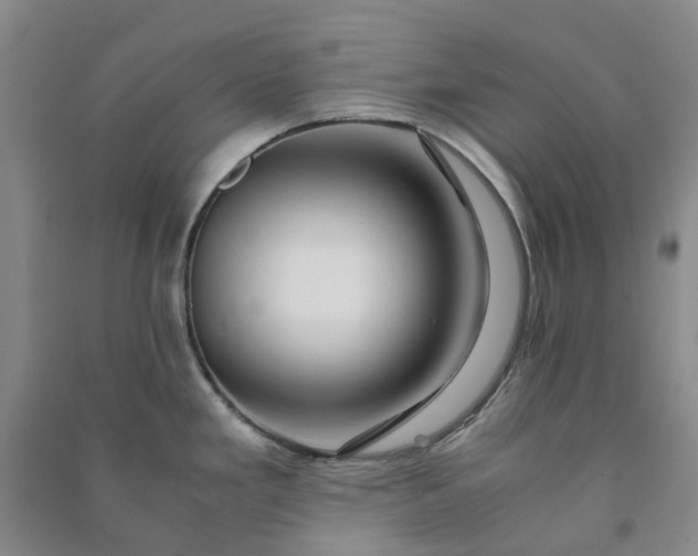 X0000090961293200708161808