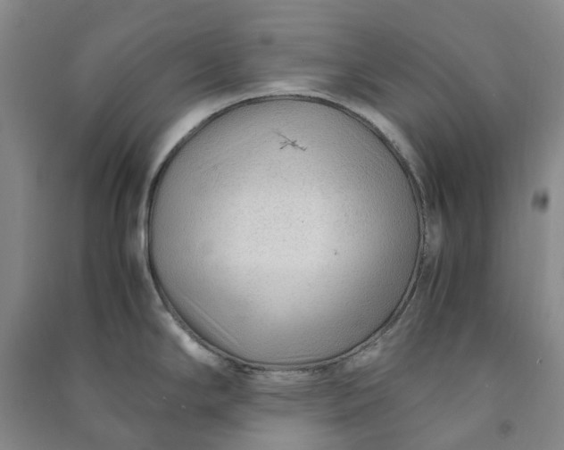 X0000090961294200708161808