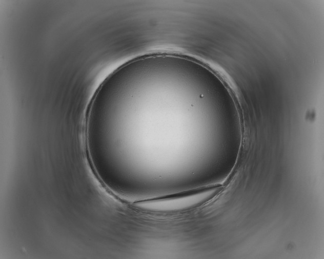 X0000090961295200708161808