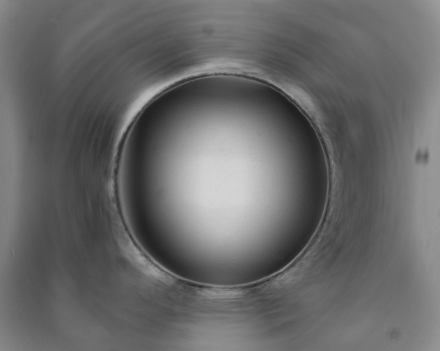 X0000090961296200708161808