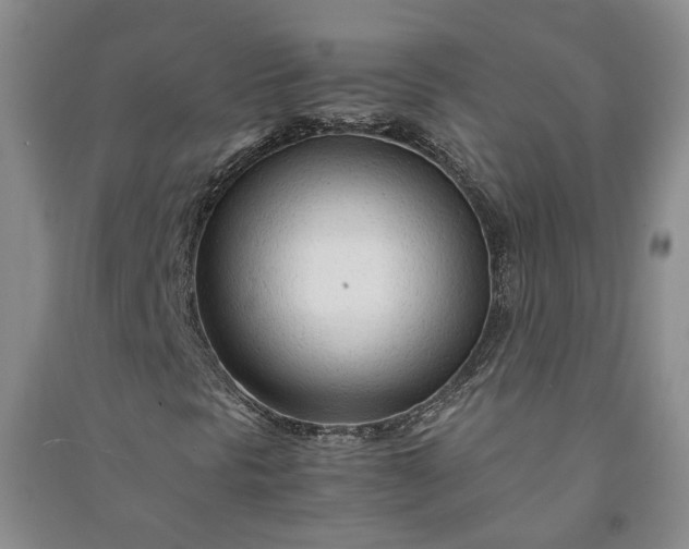 X0000090961297200708161808