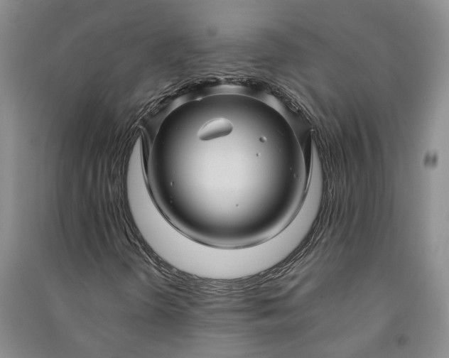 X0000090961298200708161808