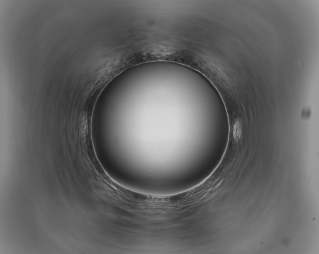 X0000090961299200708161808