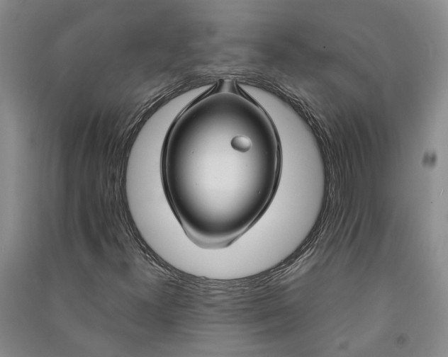 X0000090961300200708161808