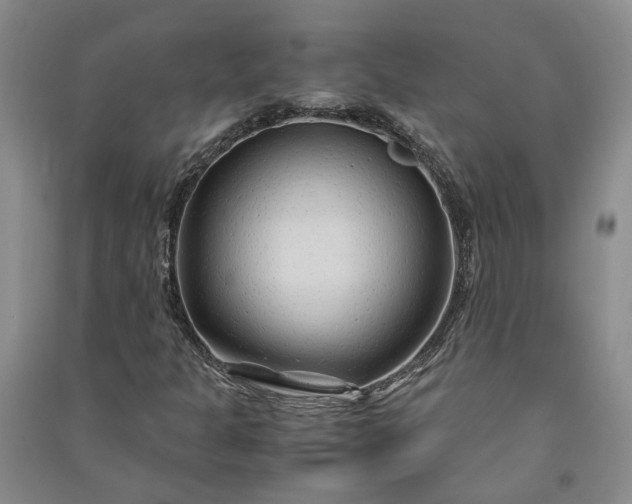 X0000090961301200708161808