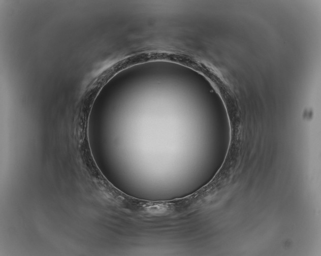 X0000090961303200708161808